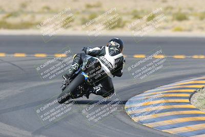 media/Mar-12-2023-SoCal Trackdays (Sun) [[d4c8249724]]/Turn 11 Backside (10am)/